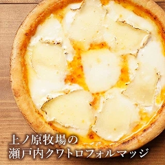 �s�U�Ⓚ / ��m���q��̐��˓��N���g���t�H���}�b�W / �����ς�`�[�Y�E���C���S�����u�����h���n�E���a��20cm